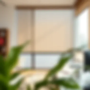 Stylish office roller blinds in a modern workspace