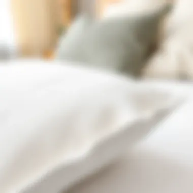 Close-up of queen foam pillow texture showcasing its unique composition