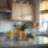 Streamlined Spice Organization Elegant spice packet holder showcasing an organized kitchen countertop