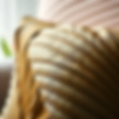 Intricate Textures of a Plant Leaf Pillow Close-up of a textured plant leaf pillow showcasing craftsmanship