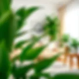 Modern Elegance: Faux Plants in Interior Design Lush green faux plants elegantly arranged in a modern living room