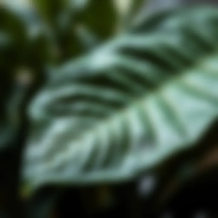 Detailing Realism: The Art of Faux Foliage Close-up of intricately designed artificial leaves showcasing realism
