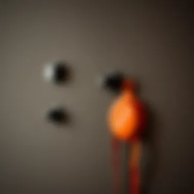 Step-by-step installation of wall hooks on a wall