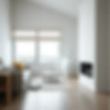 Minimalist living room featuring a large white floor vase in the corner