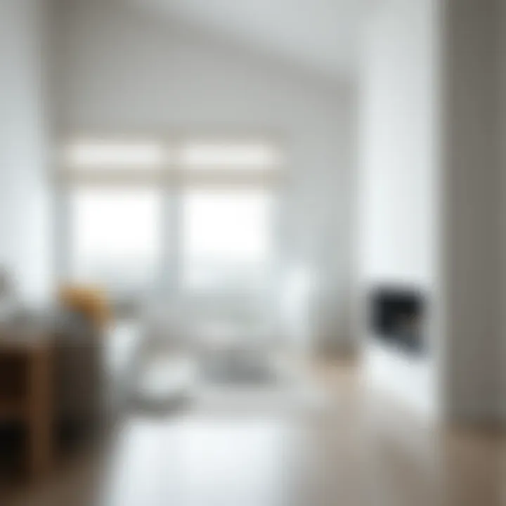 Minimalist living room featuring a large white floor vase in the corner