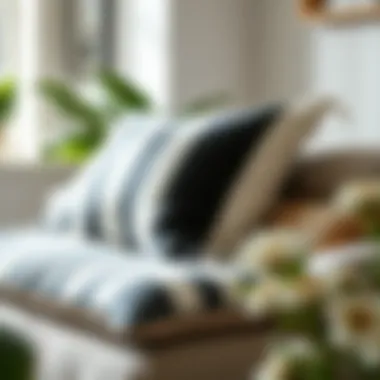 Cushion Care and Maintenance Maintenance tips for keeping black and white cushions looking fresh