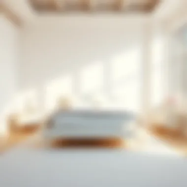 Bright and Airy Design Aesthetics White modern bedframe in a bright, airy room