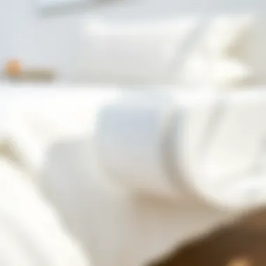 Material Elegance and Durability Close-up of materials used in a white modern bedframe