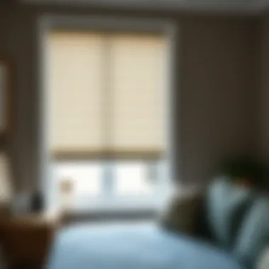 Varieties of Blinds for Trimming Types of blinds suitable for trimming