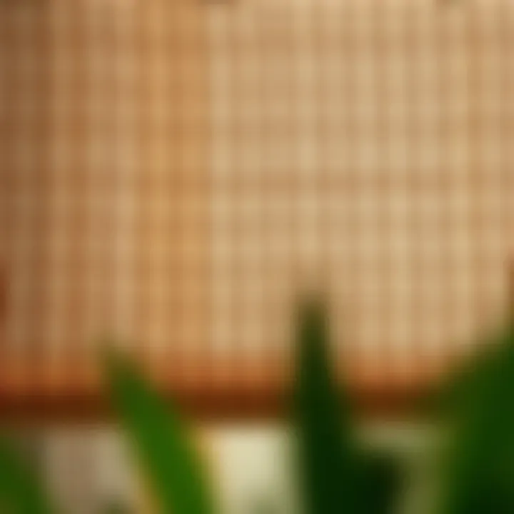 Natural Texture of Bamboo Fabric Close-up of natural texture of bamboo fabric used in patio door blinds